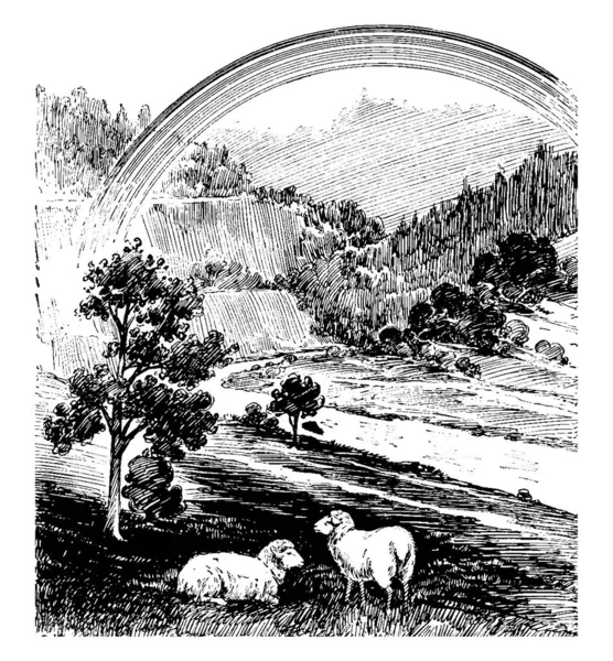 Obraz Krajiny Obsahující Dvě Ovce Hory Stromy Pozadí Také Duha — Stockový vektor