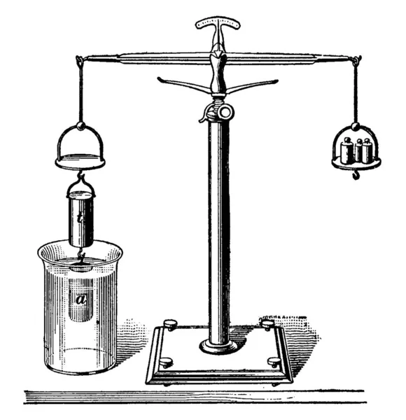 Archimedes Elv Bizonyítására Szolgáló Kísérleti Berendezést Minden Tárgyat Amely Teljesen — Stock Vector