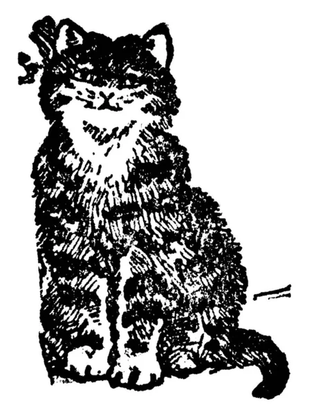 体全体に暗い縞模様の怒り猫の典型的な表現 長く湾曲した 忙しい尾 弓を身に着けています ヴィンテージライン図面や彫刻イラスト — ストックベクタ