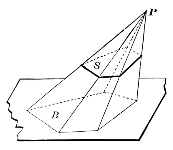 平面が実際にピラミッドを切断した場合 Sは形成される多角形を表します — ストックベクタ