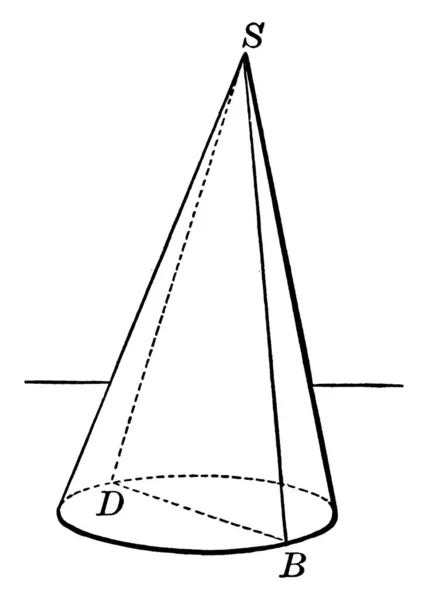 Forme Géométrique Qui Rétrécit Douceur Une Base Circulaire Point Appelé — Image vectorielle