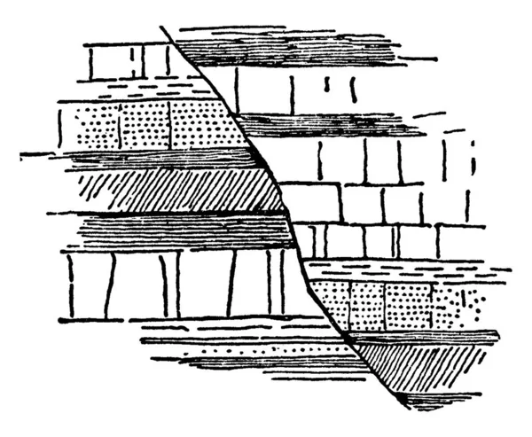 清晰的断层 老旧线条或雕刻插图的图解 — 图库矢量图片