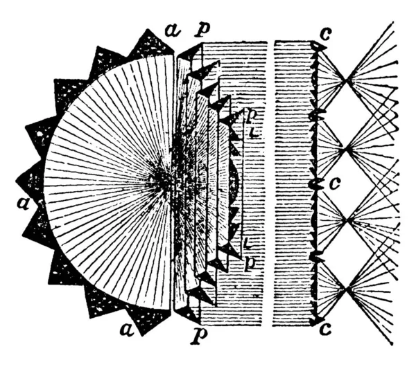 ホロホート光 Plp 直線凝縮プリズム上にその全体の光を投げ それぞれが必要なセクター ヴィンテージライン図面や彫刻イラスト上の光線を配布します — ストックベクタ