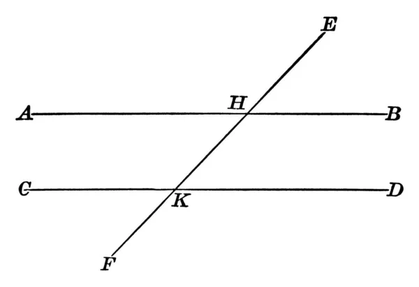 Due Linee Parallele Una Linea Che Tagliano Parti Disuguali Illustrazione — Vettoriale Stock