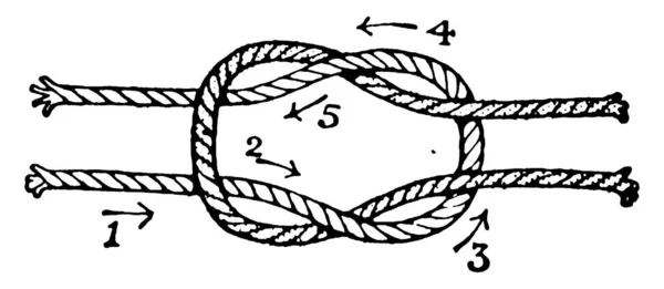 Darstellungen Riffknoten Oder Quadratknoten Die Schlaufe Eines Knotens Wird Als — Stockvektor
