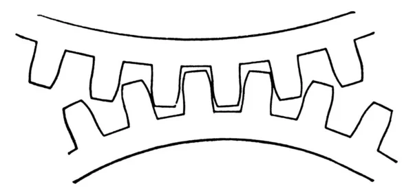 用于以表层状 复古线条或雕刻图为形式的齿轮切割 — 图库矢量图片