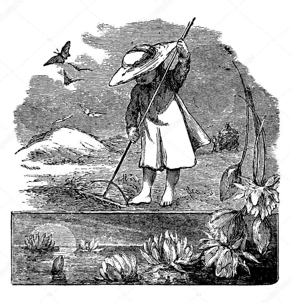 A little Girl Raking, trying to remove fall leaves and grass blades that didn't survive winter., vintage line drawing or engraving illustration. 