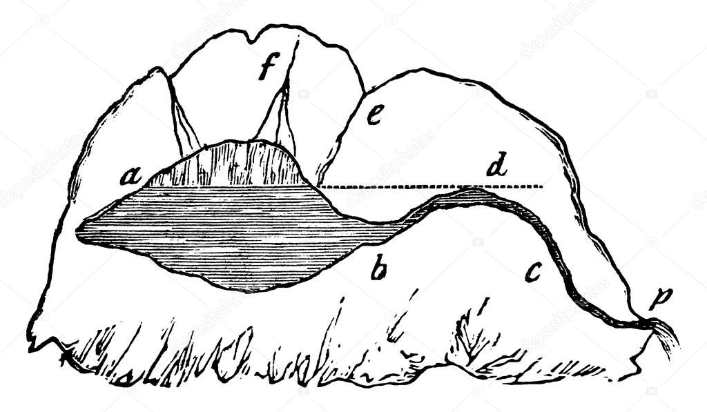 A typical representation of the intermitting spring, showing how the principle of the syphon operates to produce the effect described, if there is a crevice in the rock from, 'ab', and a narrow fissure leading from it, 'bc', vintage line drawing or e