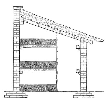 Üç yatağın birbiri ardına yerleştirildiği mantar evine doğru eğik bir bölüm, klasik çizgi çizimi ya da kabartma çizimi.