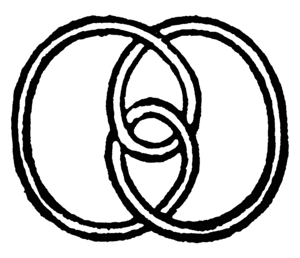 Eine Illustration Eines Knotens Eine Alte Linienzeichnung Oder Eine Gravierillustration — Stockvektor