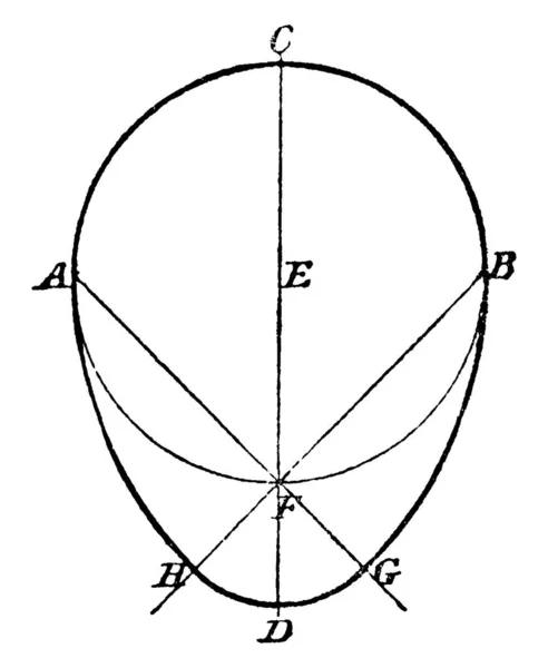 Konstruktion Oval När Höjd Och Bredd Ges Med Hjälp Kompass — Stock vektor