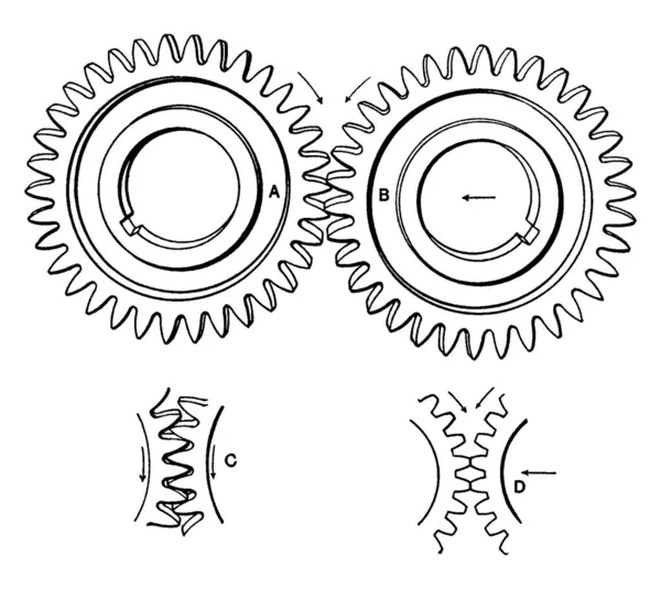 Sebességváltó Forgógépalkatrész Amely Forgatónyomaték Továbbítására Szolgáló Hálóból Egy Másik Fogazott — Stock Vector