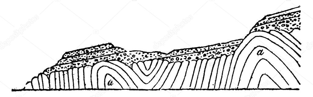 The geological angular unconformity of Siccar Point, located in Berwick, Scotland, vintage line drawing or engraving illustration.