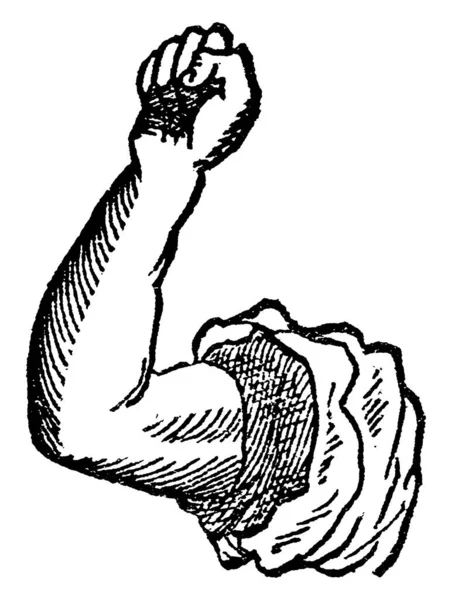 高举的典型的人体手臂高举的姿势 手臂是人体从肩部延伸到手部的肢体 是古代线条的绘画或雕刻的图解 — 图库矢量图片