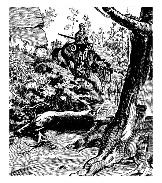 Davy Crocket Auf Einem Pferd Findet Ein Gerade Getötetes Reh — Stockvektor