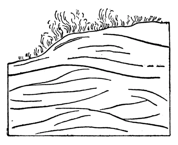 Esta Figura Muestra Montículo Cresta Arena Formada Por Viento Dibujo — Vector de stock