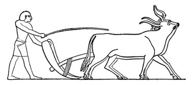 Hayvanlarıyla tarla süren bir adam tasviri, klasik çizim ya da gravür..