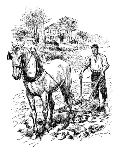 Appomattox Een Illustratie Van Een Man Die Een Aantal Landbouwactiviteiten — Stockvector