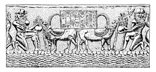 撒尔贡的封印是Akkad国王的封印 两个人站在两头公牛前面 手里拿着一只罐子 画着古老的线条或雕刻插图 — 图库矢量图片