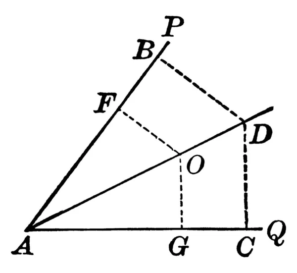 Angle Entre Est Divisé Également Deux Parties Par Segment Ligne — Image vectorielle