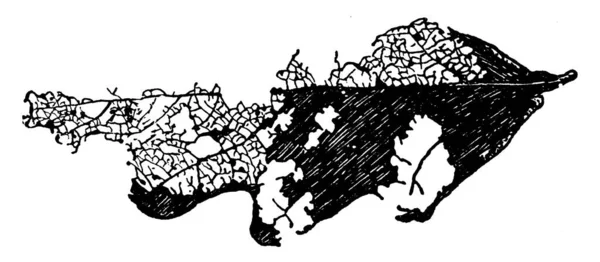 Połowa Liścia Jedzona Przez Gąsienicę Rysunek Linii Vintage Lub Ilustracja — Wektor stockowy