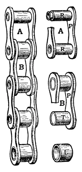 Rullo Costituito Una Serie Maglie Esterne Interne Entrambe Costituite Due — Vettoriale Stock