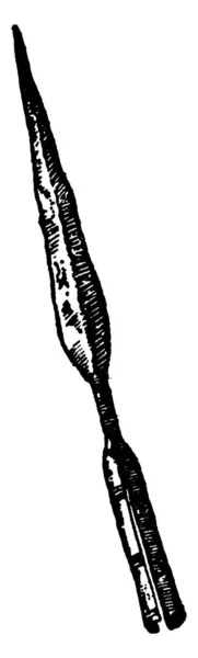 盎格鲁撒克逊矛头一种盎格鲁撒克逊矛头 又细又长 由铁制的老式线条绘图或雕刻图解制成 — 图库矢量图片
