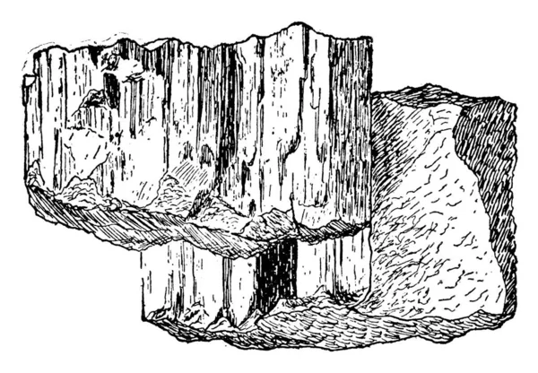 Estilolita Roca Las Estilolitas Son Superficies Dentadas Dentro Una Masa — Vector de stock