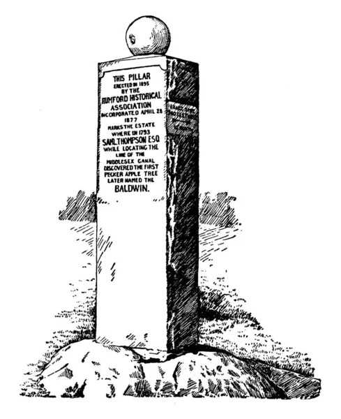 这座纪念碑建于1895年的鲍德温 是一座古老的线条画或雕刻画 — 图库矢量图片