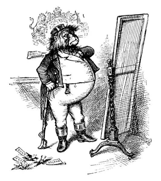 Desenhos Animados Garibaldi Com Cabeça Tigre Olhando Para Espelho Três — Vetor de Stock