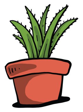 Aloe Vera bir demlikte, illüstrasyon, beyaz arka planda vektör