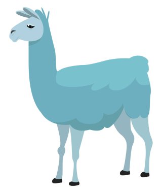 Mavi lama, illüstrasyon, beyaz arkaplanda vektör