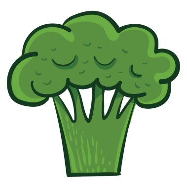 Taze brokoli, illüstrasyon, beyaz arkaplanda vektör