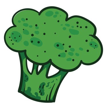 Yeşil brokoli, illüstrasyon, beyaz arkaplanda vektör
