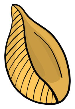 Konchiglie makarna, illüstrasyon, beyaz arkaplanda vektör