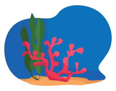 Deniz mercanları, illüstrasyon, beyaz arkaplan üzerindeki vektör