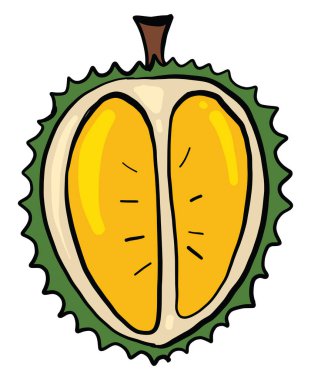 Durian kesimi, illüstrasyon, beyaz arkaplan vektörü