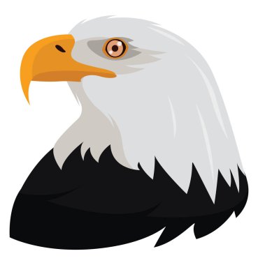 Büyük kartal, illüstrasyon, beyaz arkaplanda vektör