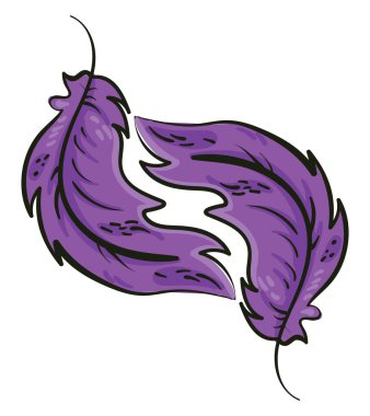 Mor tüy, illüstrasyon, beyaz arkaplanda vektör