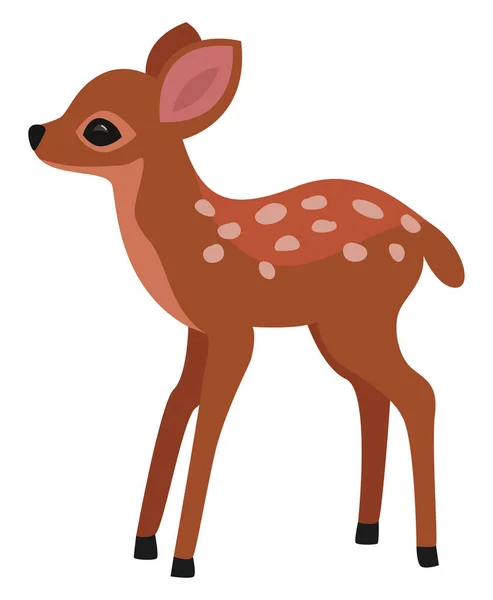 Baby Deer Illustration Vector White Background — Stock Vector
