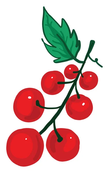枝上的红色浆果 白色背景上的图例 — 图库矢量图片