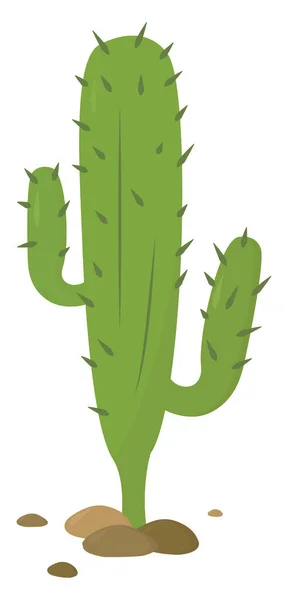 Kaktus Hijau Besar Ilustrasi Vektor Pada Latar Belakang Putih - Stok Vektor