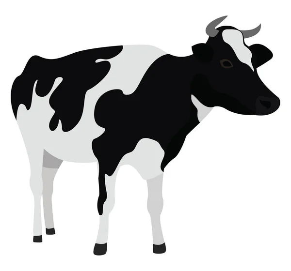 Vaca Preta Branca Ilustração Vetor Sobre Fundo Branco —  Vetores de Stock