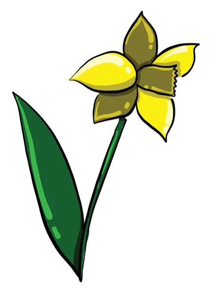 Giallo Narciso Illustrazione Vettore Sfondo Bianco — Vettoriale Stock