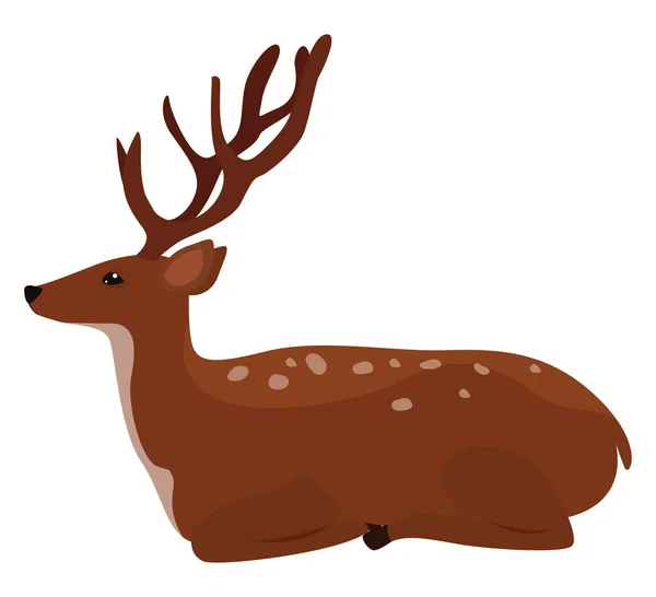 Big Deer Illustration Vector White Background — Stock Vector