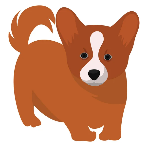 Маленькая Оранжевая Собака Иллюстрация Вектор Белом Фоне — стоковый вектор