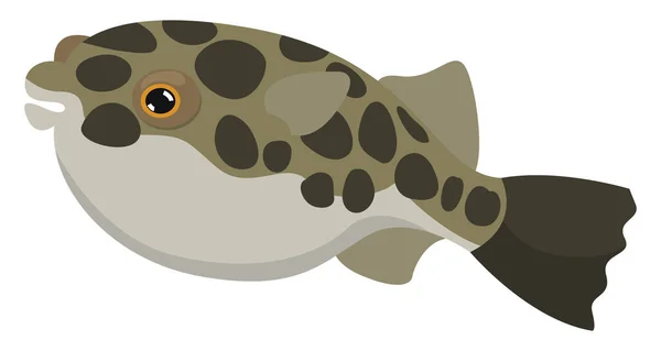 Fugu Ryba Ilustracja Wektor Białym Tle — Wektor stockowy