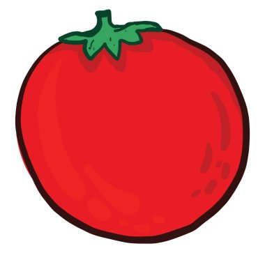 Kırmızı domates, illüstrasyon, beyaz arkaplanda vektör
