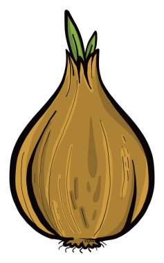 Sarı soğan, illüstrasyon, beyaz arkaplanda vektör