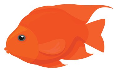 Turuncu balık, illüstrasyon, beyaz arkaplanda vektör